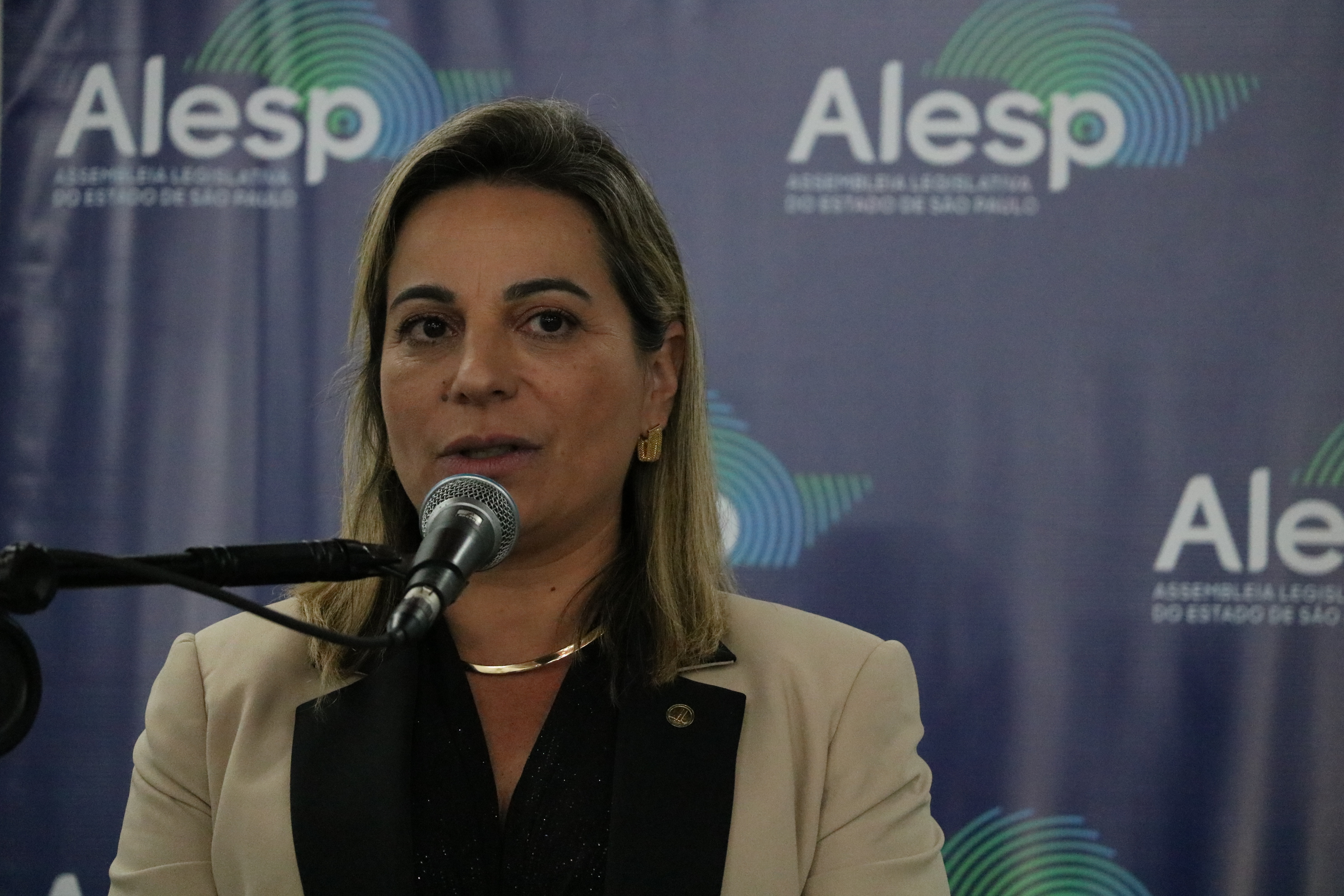 Depª. Federal Katia Sastre.JPG