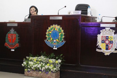 Câmara Iguape  (192).JPG