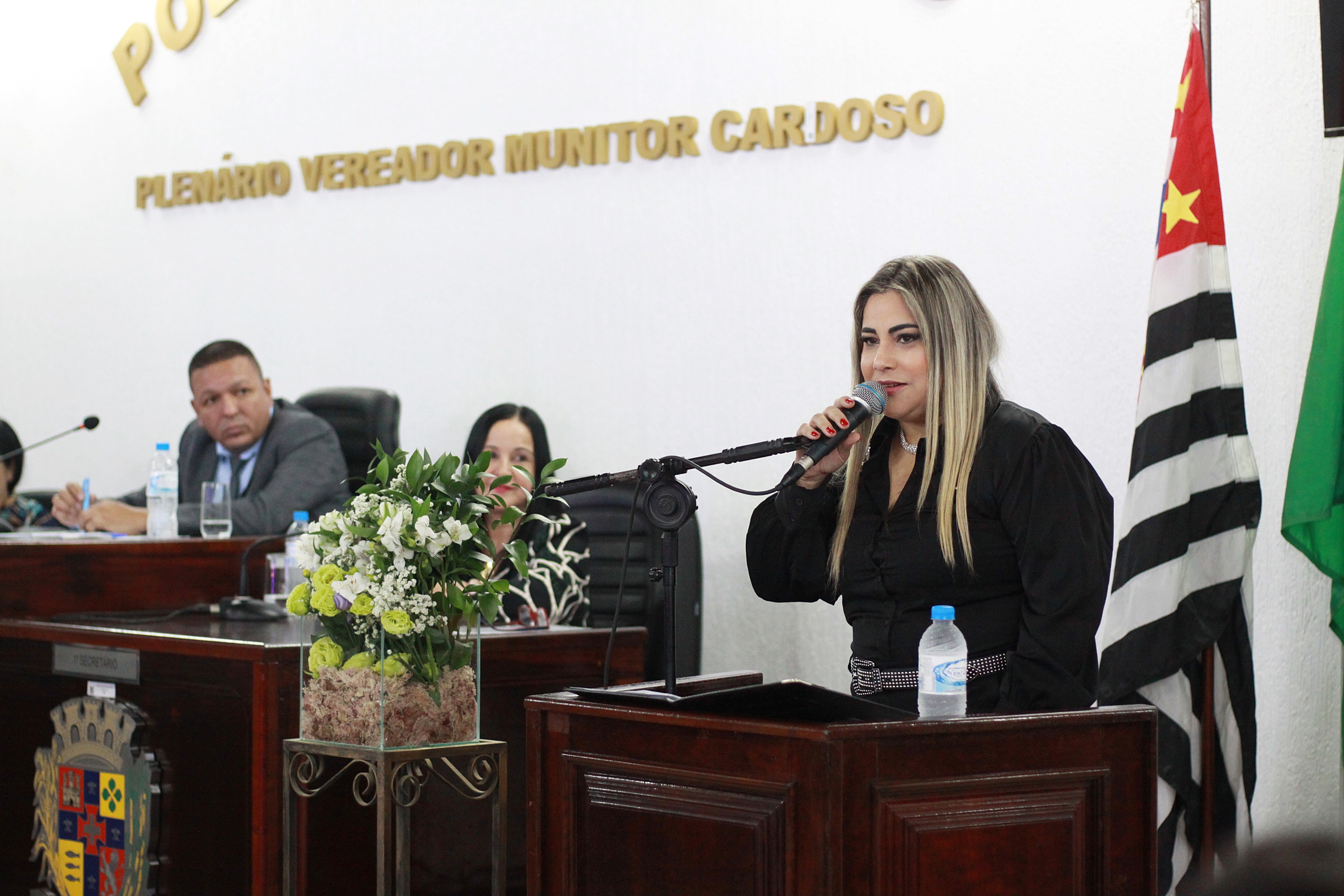 Câmara Iguape  (246).JPG